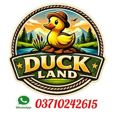 duck 4 month age