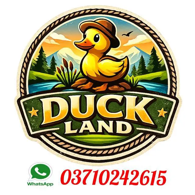 duck 4 month age