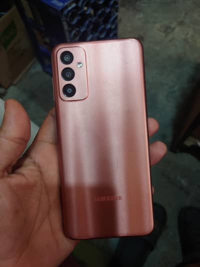 Samsung Mobile F13