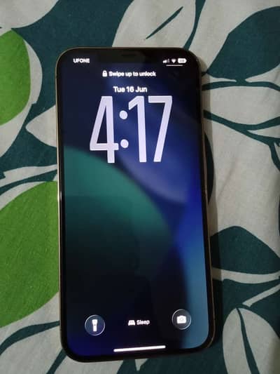 Apple iPhone 12 Pro Max