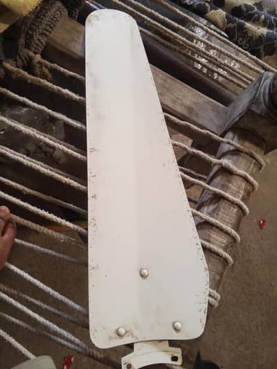 ceiling fan