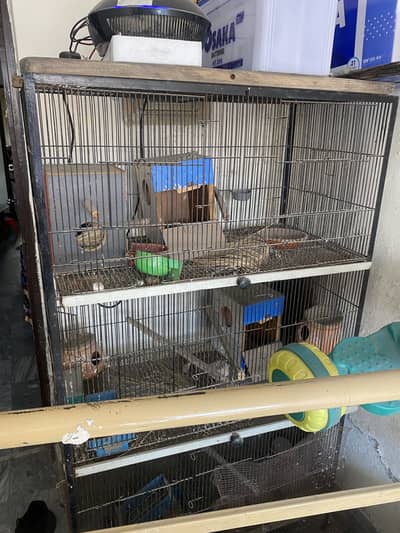 Cadge for sale