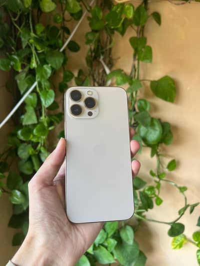 iPhone 13 Pro Max 256gb non pta