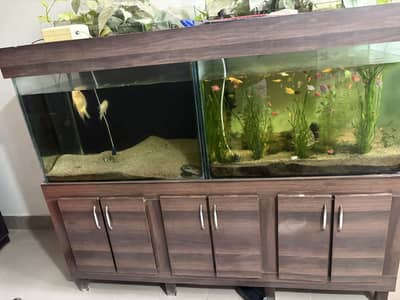 Aquarium Total 6 ft