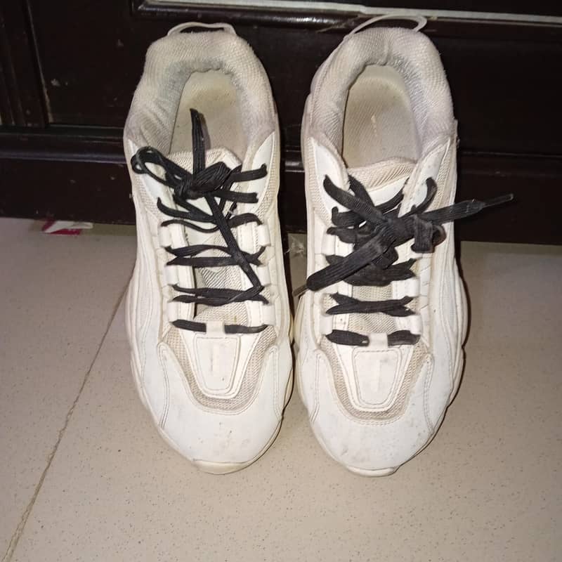 shose 1