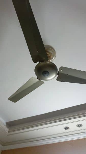 CIELING FANS