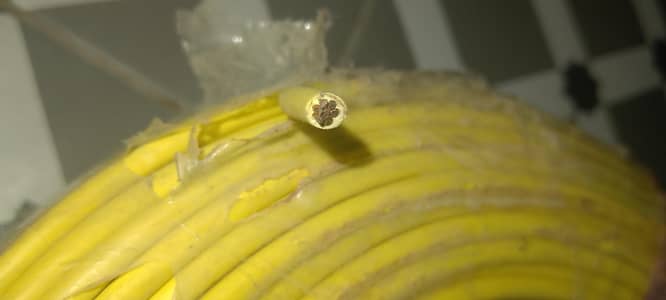 fast company 7/44 ki copper wire