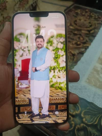 Apple iPhone 13 Pro Max