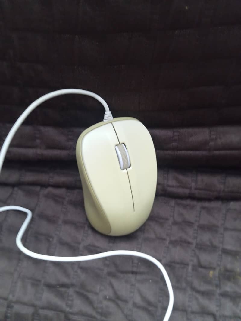 Mouse 1