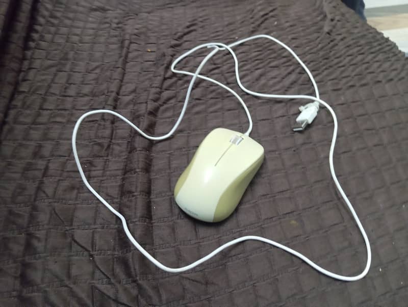 Mouse 2