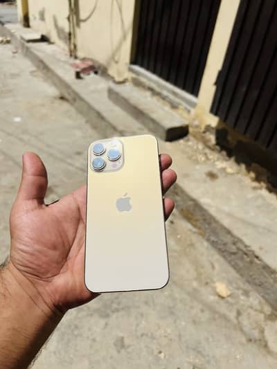 Apple iPhone 13 Pro Max