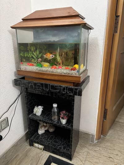 Aquarium with Wooden Stand/Table for Sale