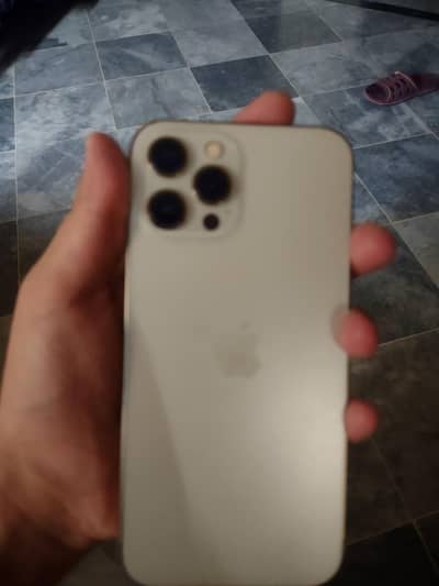 Apple iPhone 12 Pro Max