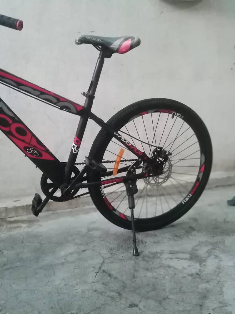 bicycle 2