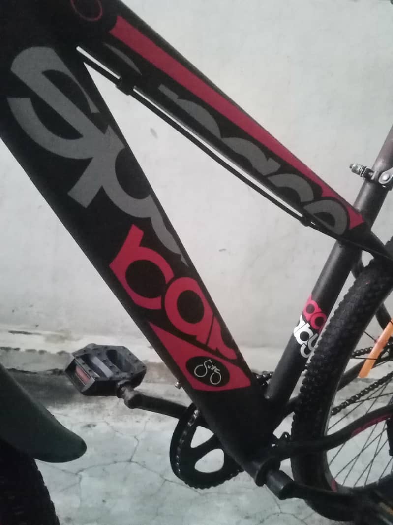 bicycle 3