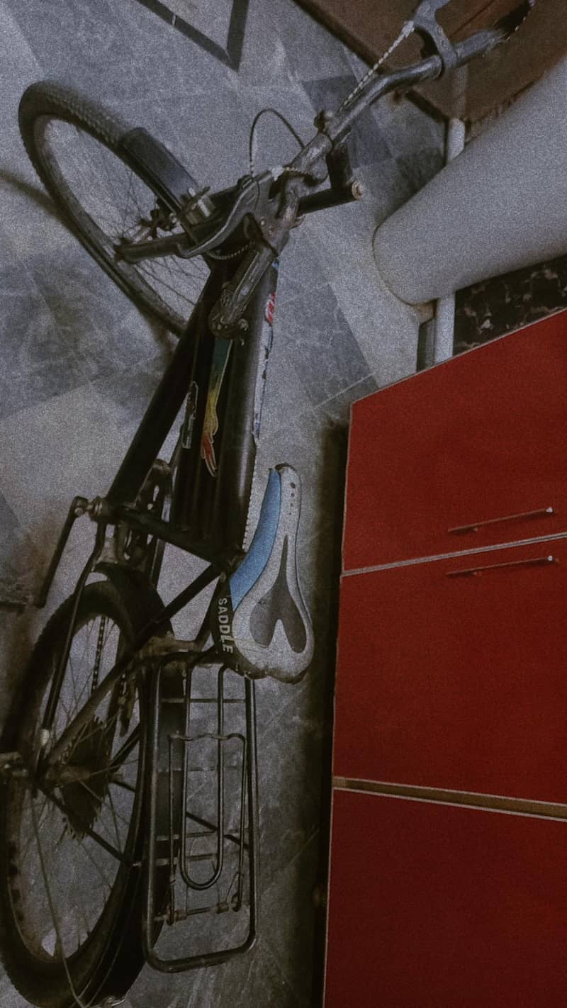 bicycle 2