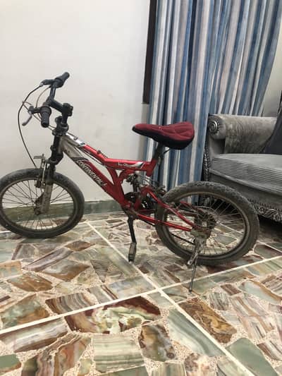 Bicycke for 10 - 16