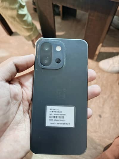 One plus 13s