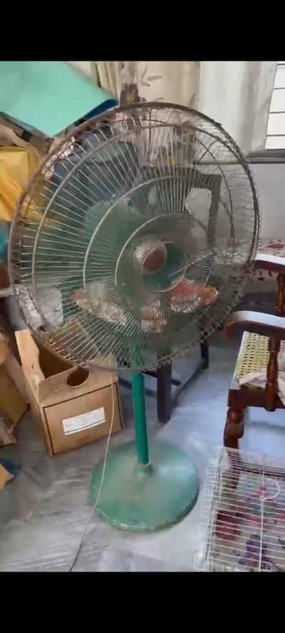 pedestal fan