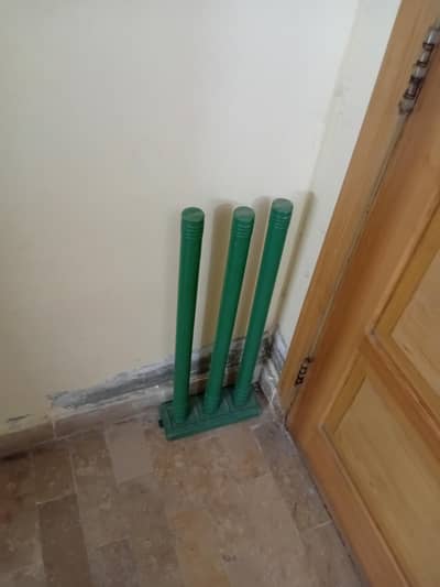 Plastic Wicket