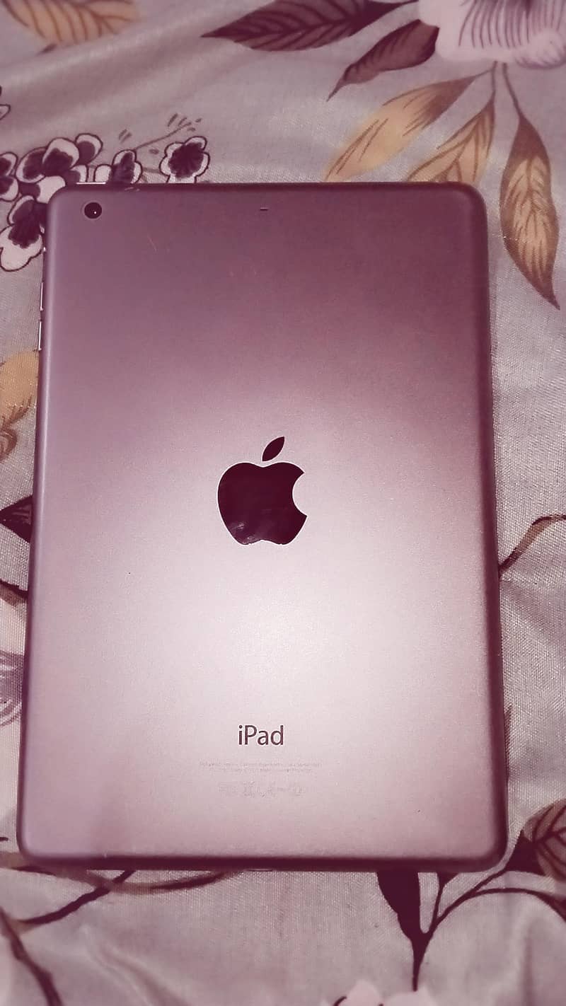 ipad mini 2 1