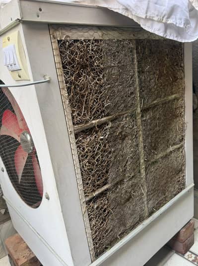 Only 1 month used cooler
