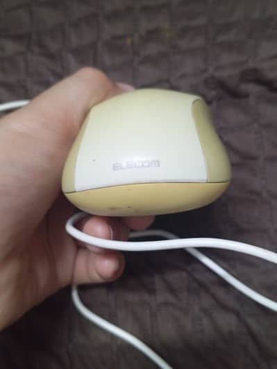 Mouse