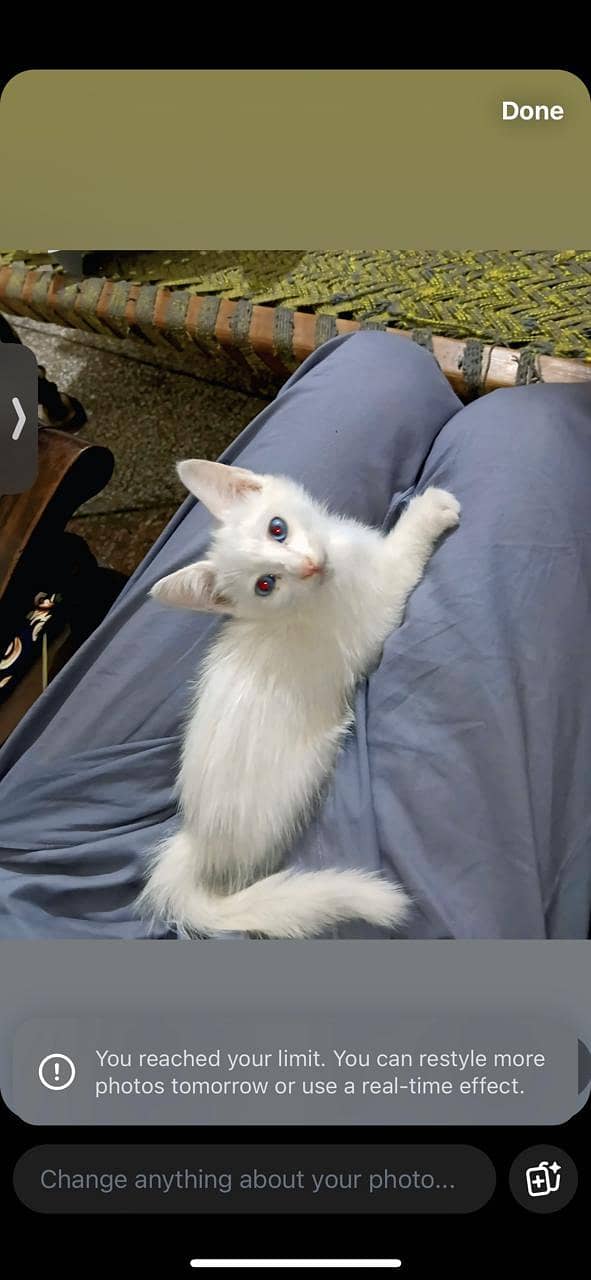 cats. 3