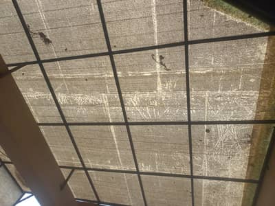 Shade - Fiberglass Shed - Fiber shade for sale - Parking Shade