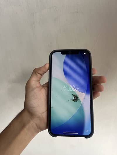 Apple iPhone 12 Pro Max