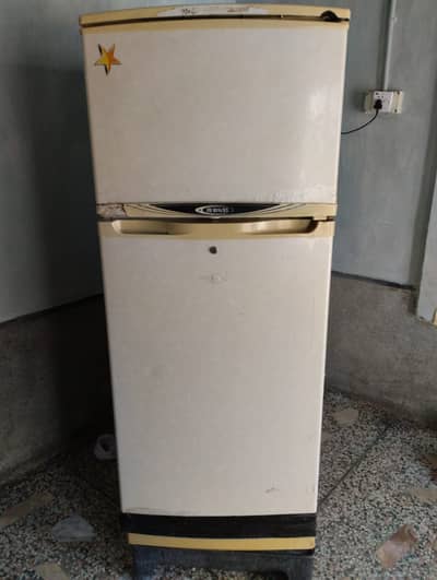 Waves fridge