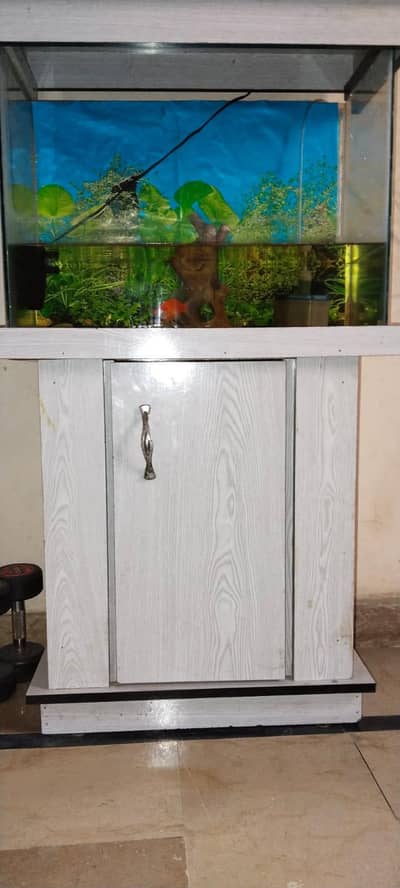 fish aquriam
