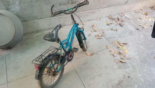 kids cycle