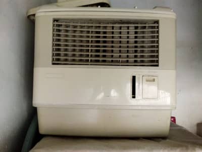 Pak Room Air Cooler