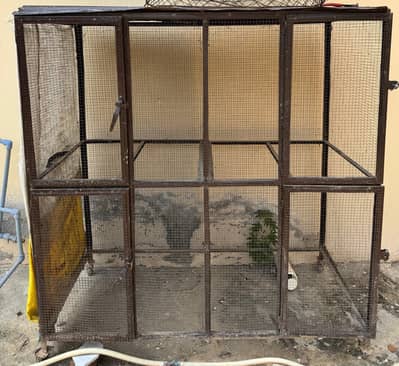 Aseel cage for sale 4 petations