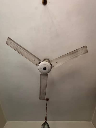 Ceiling Fa