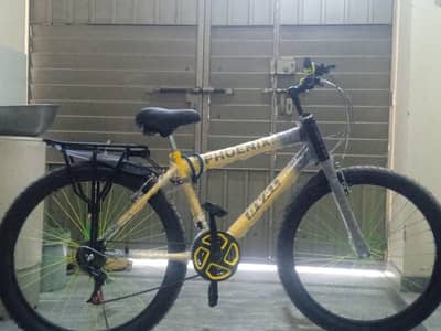 Phoenix Fat Tire Bicycle – Brand New