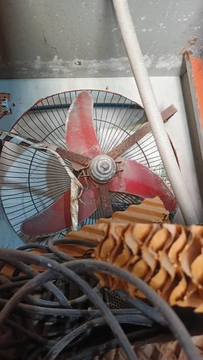 12 volt /DC  Air cooler