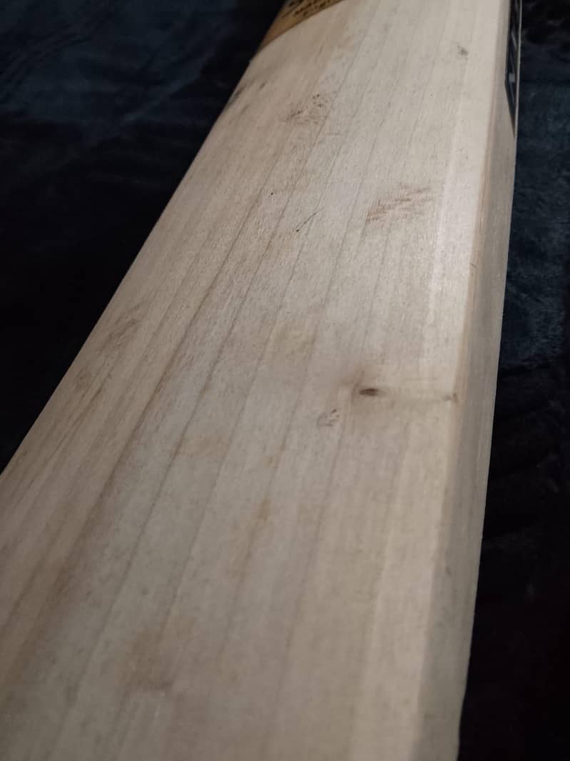 cricket bath 6