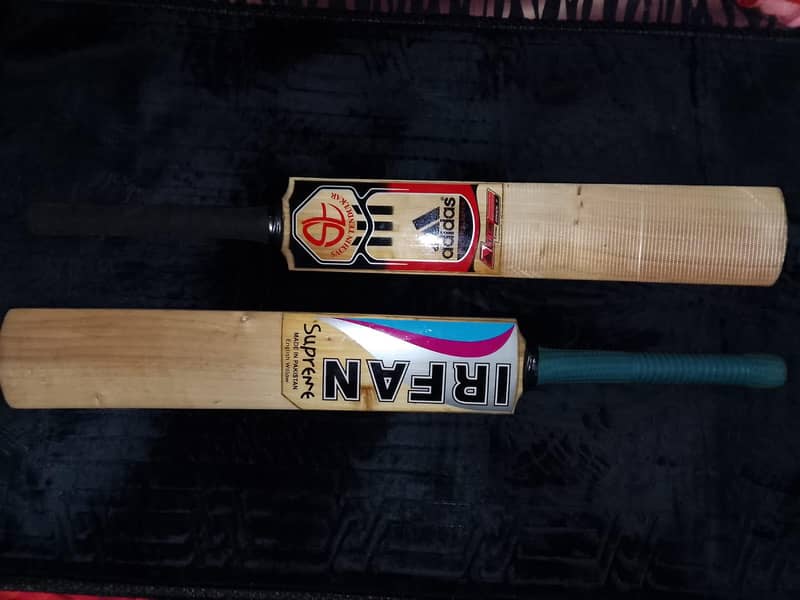 cricket bath 7