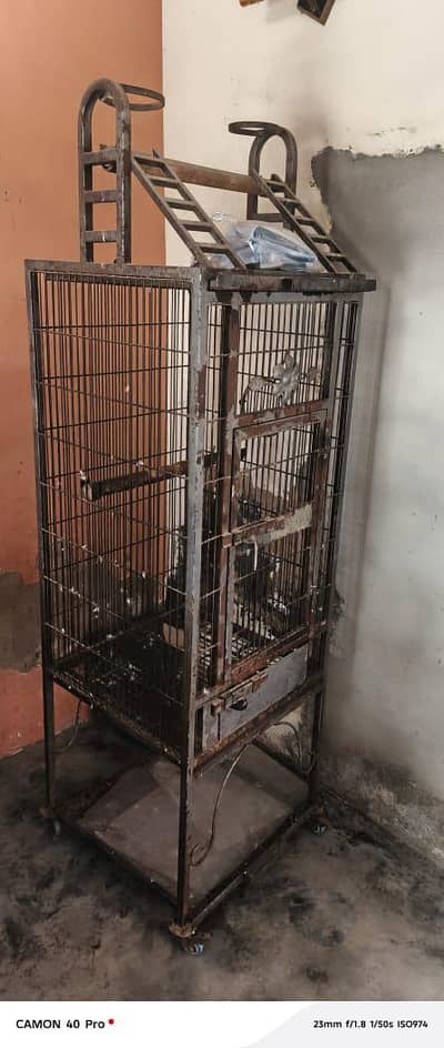 gray parrot cage