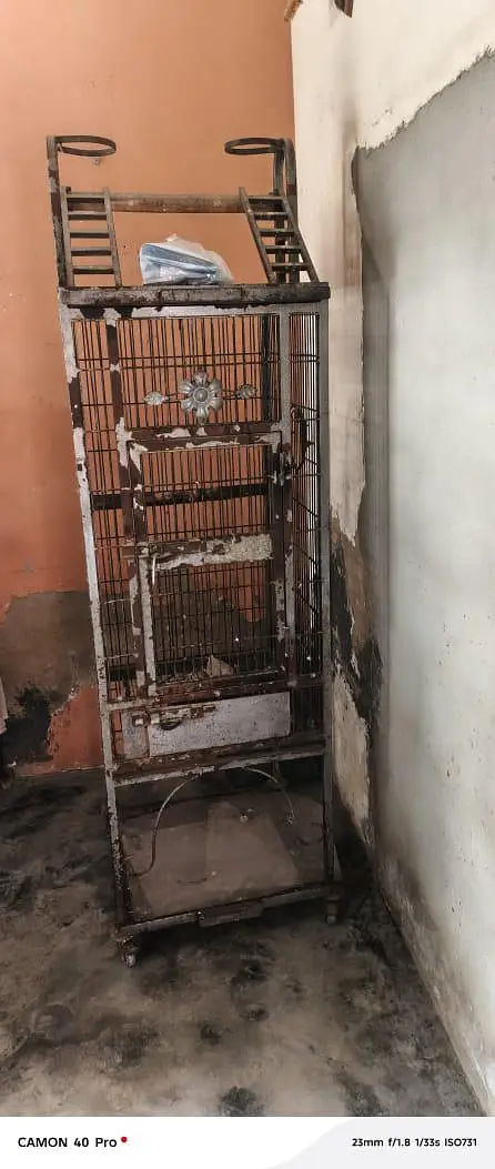 gray parrot cage — photo 2