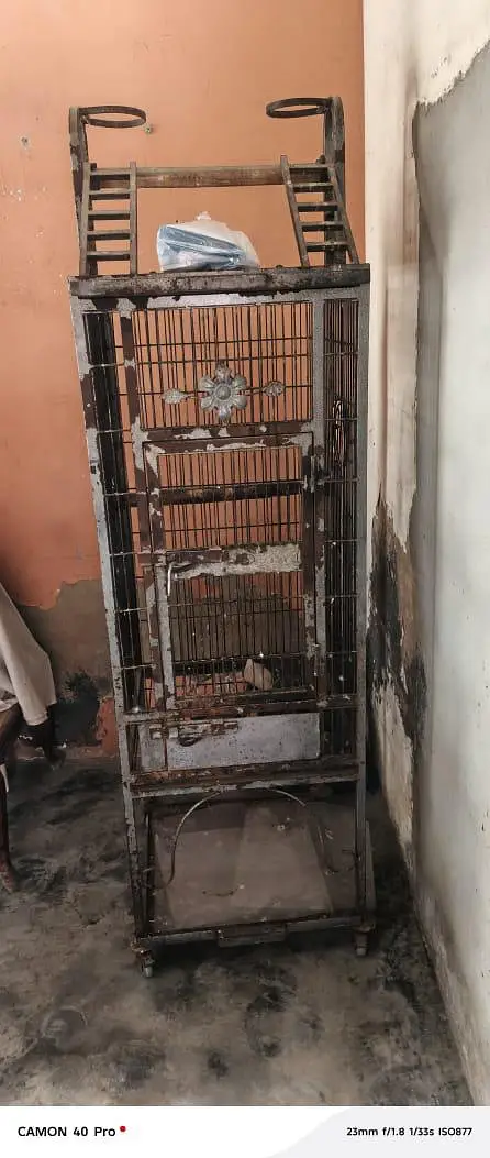 gray parrot cage — photo 3