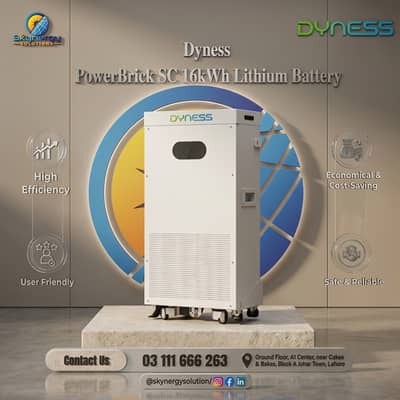 Dyness PowerBrick SC 16kWh Lithium Battery (51.2V) | Skynergy Solution