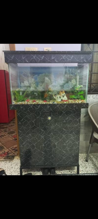 fish equarium 2.5 feet with iron stand