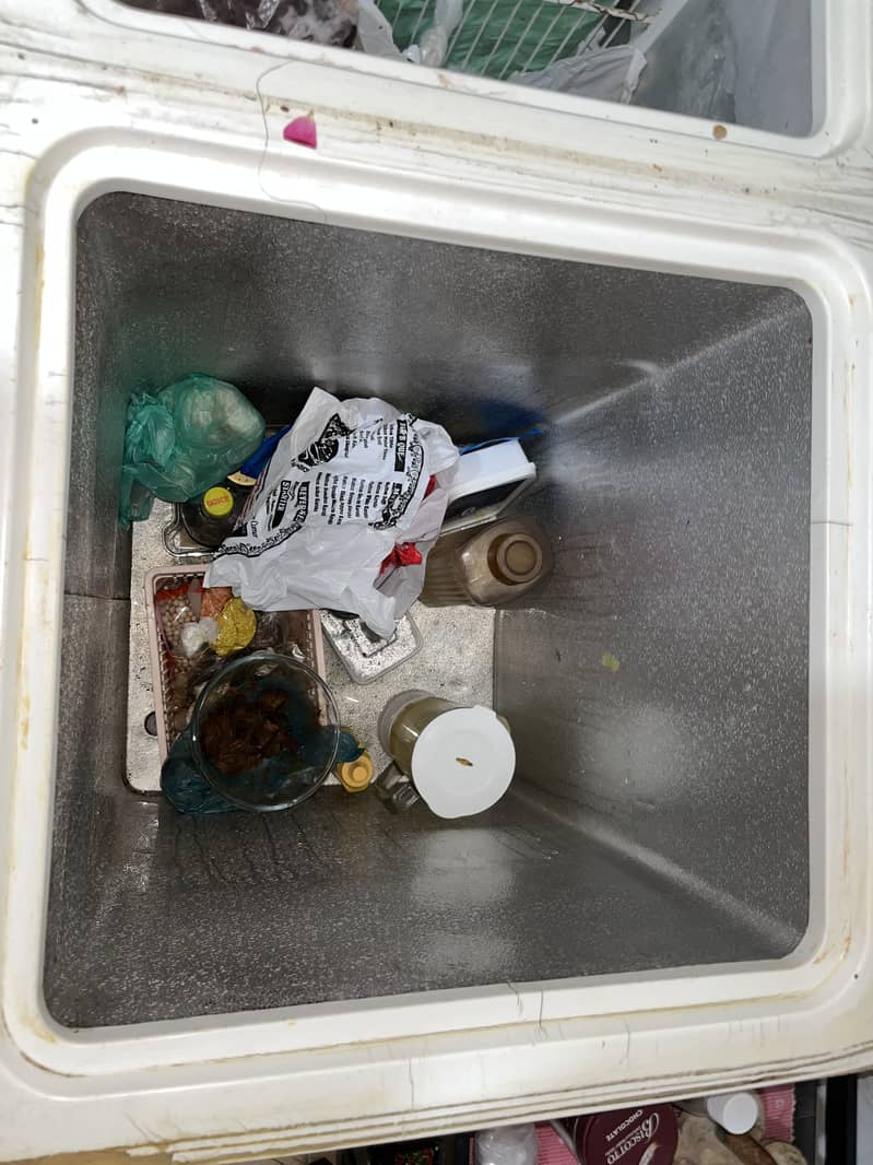 Waves freezer 5