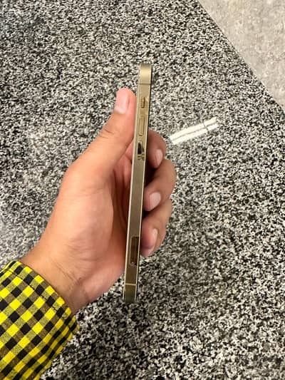 Apple iPhone 12 Pro