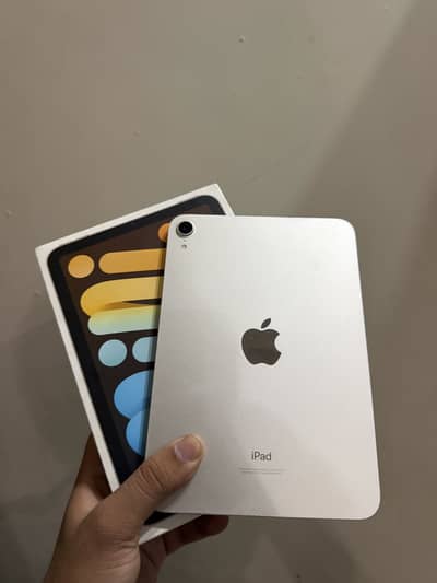 iPad mini 6