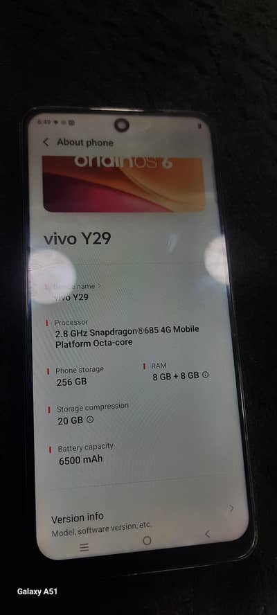 Vivo Y29