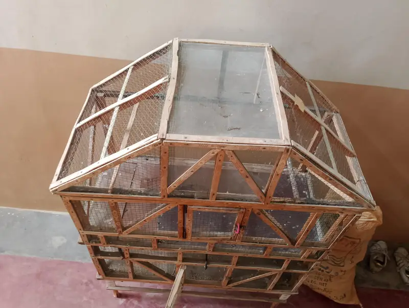 2-large cabin cage